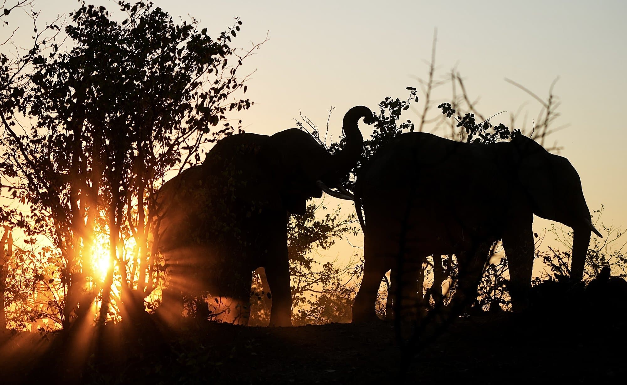 Wildlife photograph 10