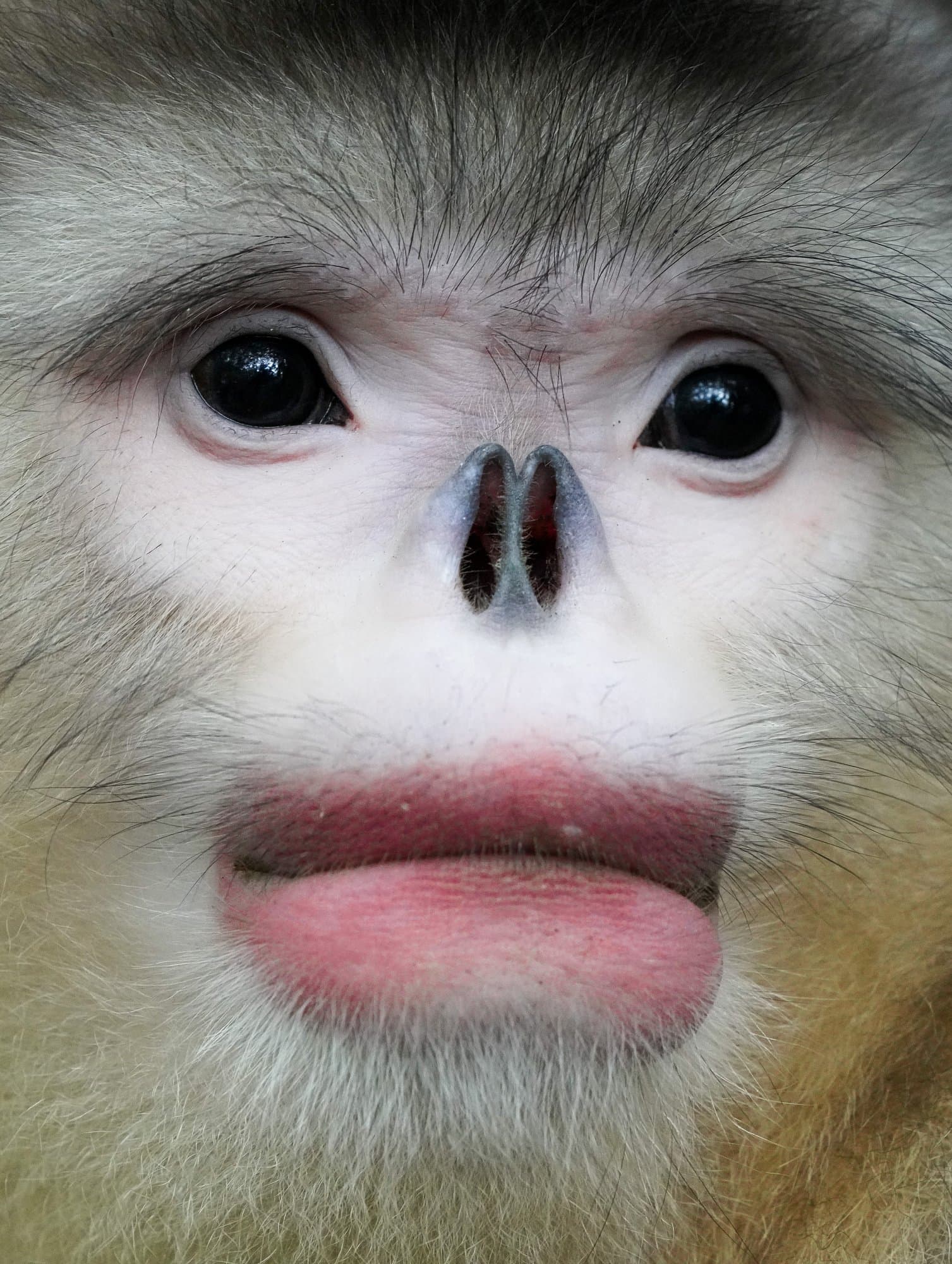 Wildlife photograph 22