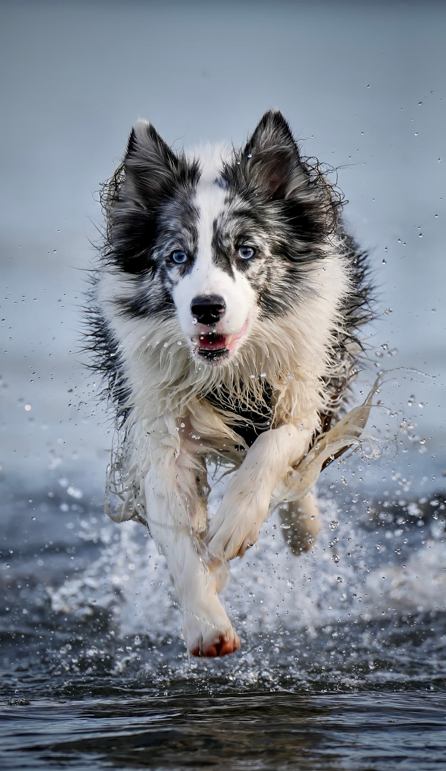 Through the spray