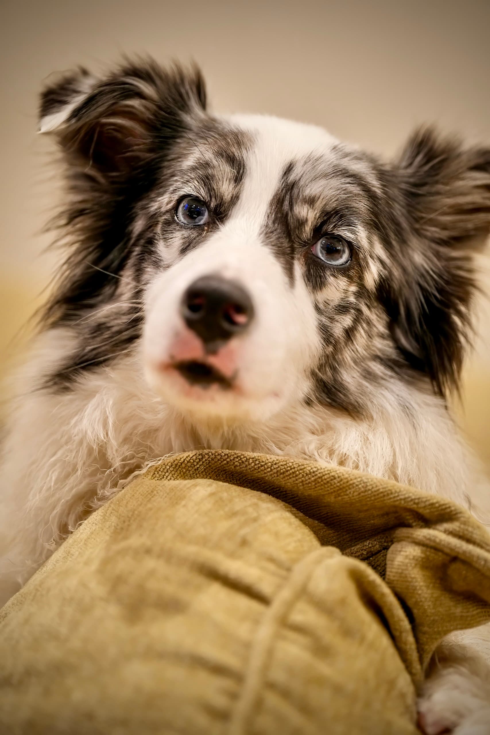 Spring afternoon, full speed